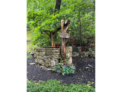 Nestled in the peaceful forest of Eureka Springs, this - photo 50