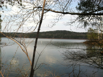 WONDERFUL WIDE-WATER VIEW OF THE MAIN LAKE AND AN ISLAND. GENTLE - Lake Lot For Sale in Lynch Station, Virginia