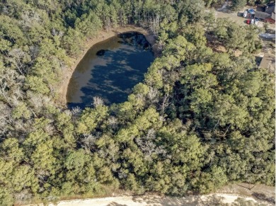 Lake Lot For Sale in Ponce De Leon, Florida