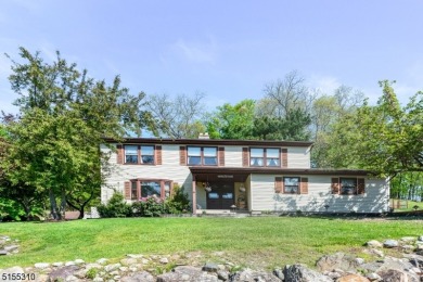 Lake Hopatcong Home For Sale in Mount Arlington New Jersey