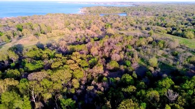 One of the most unique private waterfront estates on - photo 4