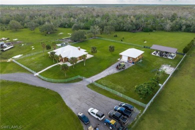 (private lake, pond, creek) Home For Sale in Labelle Florida