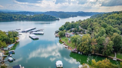 Lake Lot For Sale in Kingsport, Tennessee
