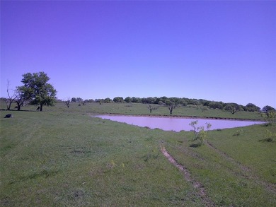 (private lake, pond, creek) Acreage For Sale in Bowie Texas