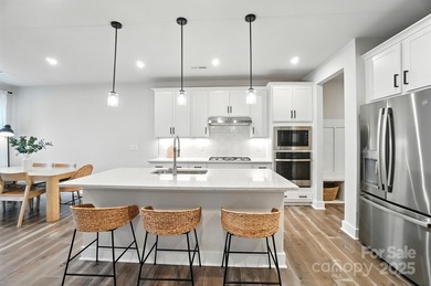 Lake Wylie Townhome/Townhouse For Sale in Belmont North Carolina