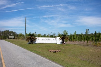 This is a beautiful lot near the East bank of Lake Seminole, at - photo 11