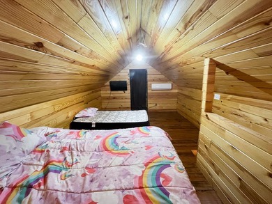 Discover the ultimate Ozark escape! This stunning 3-bedroom - photo 15