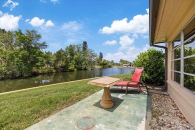 Welcome to worry-free Florida living! Tucked away in the quiet - photo 9