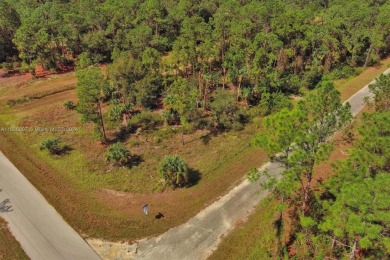 Lehigh Acres Area Lot For Sale in Lehigh Acres Florida