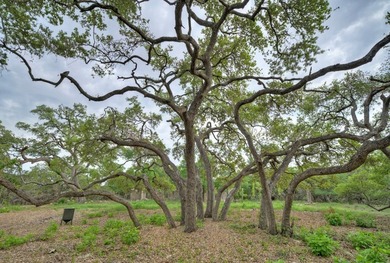 This private, gated 15-acre estate on Jim Bridger Dr. offers a - photo 3