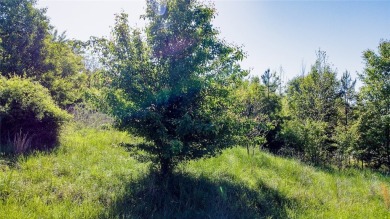 Lake Lot For Sale in Anderson, South Carolina