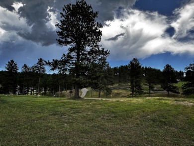 (private lake, pond, creek) Lot For Sale in Hill City South Dakota