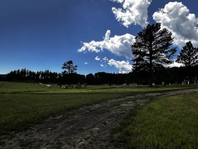 (private lake, pond, creek) Lot For Sale in Hill City South Dakota