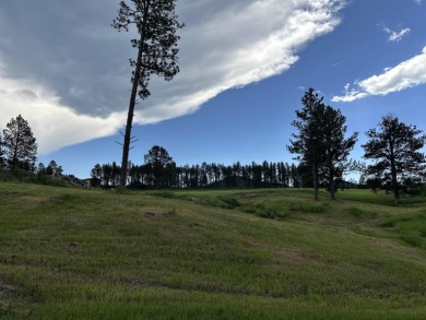 (private lake, pond, creek) Lot For Sale in Hill City South Dakota