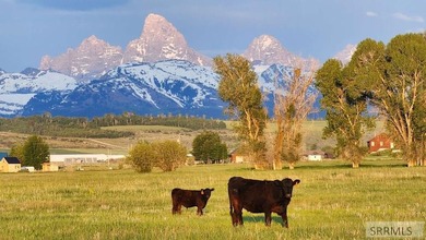 Rolling hills, lush pastures, and pristine riparian corridors - photo 2