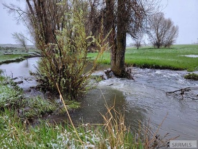 Rolling hills, lush pastures, and pristine riparian corridors - photo 3