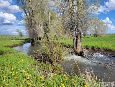 Rolling hills, lush pastures, and pristine riparian corridors - photo 8