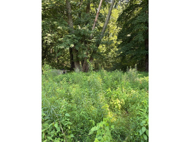 3.85 acres of developed land being sold for land value only! - photo 5
