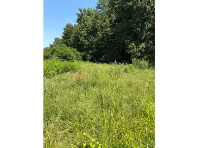 3.85 acres of developed land being sold for land value only! - photo 8