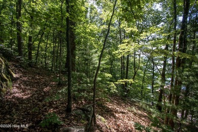 Don't miss this opportunity to own a piece of Lake Santeetlah - photo 6