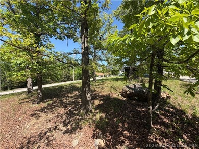 Discover the perfect spot to build your Lake of the Ozarks dream - photo 2