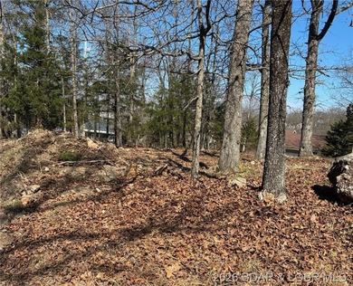 Discover the perfect spot to build your Lake of the Ozarks dream - photo 7
