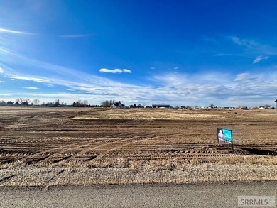 Welcome to Diamond Acres! Diamond Acres is one of the newest - photo 1