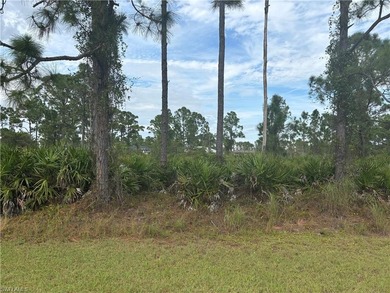 Lehigh Acres Area Lot For Sale in Lehigh Acres Florida