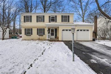 Lake Erie - Lake County Home For Sale in Mentor Ohio