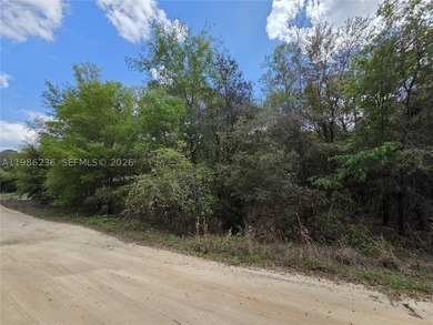 Exceptional opportunity to own a 0.962-acre vacant lot, perfect - photo 2