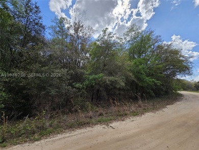 Exceptional opportunity to own a 0.962-acre vacant lot, perfect - photo 3