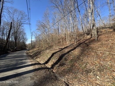 Want a large UNRESTRICTED acreage tract in Knoxville with no - Lake Acreage For Sale in Knoxville, Tennessee