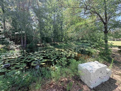 Investor Opportunity on 4 Beautiful Acres! Tucked away in the - photo 31