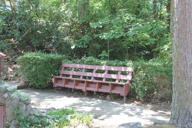Discover one of Hot Springs Village's best-kept - photo 50