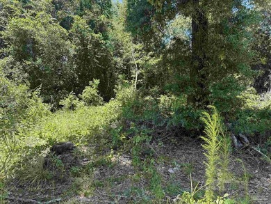 36 acre wooded lot in a cul-de-sac zoned MDR. This lot is - photo 3