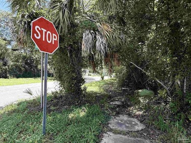 95' X 75' corner lot located minutes from downtown Pensacola - photo 1