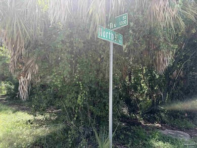 95' X 75' corner lot located minutes from downtown Pensacola - photo 2