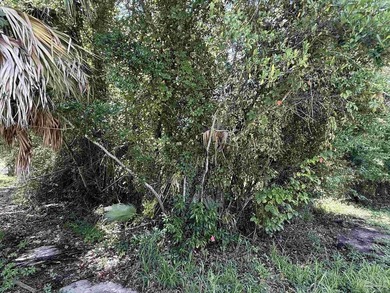 95' X 75' corner lot located minutes from downtown Pensacola - photo 5