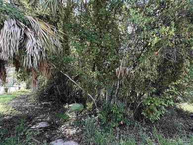 95' X 75' corner lot located minutes from downtown Pensacola - photo 6