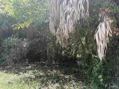 95' X 75' corner lot located minutes from downtown Pensacola - photo 7