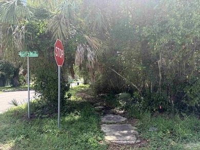 95' X 75' corner lot located minutes from downtown Pensacola - photo 8