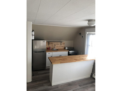 This beautifully renovated 2-unit home by JDN Properties offers - photo 10
