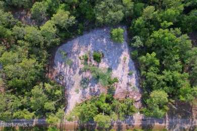 Lake Lot For Sale in Georgetown, Florida