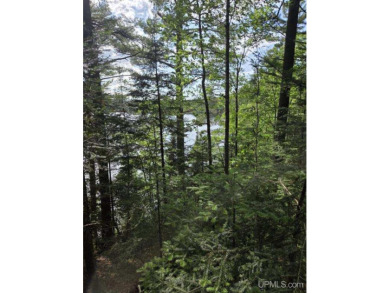 Lake Lot For Sale in Iron River, Michigan