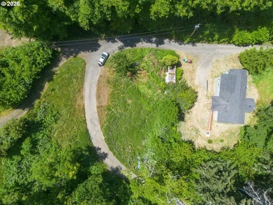 Level, buildable 0.11-acre lot just minutes from historic - photo 4