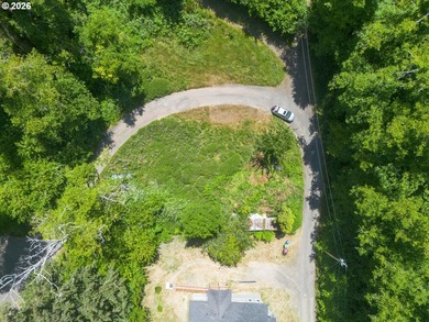 Level, buildable 0.11-acre lot just minutes from historic - photo 5