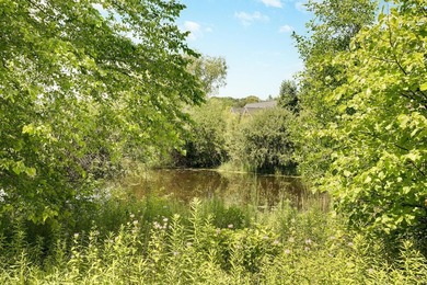 Welcome to 4270 Wild Meadows Drive, an exceptional two-story - photo 30