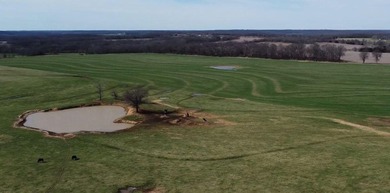 Turnkey Cattle Operation - 171 Acres of Prime Open - photo 33