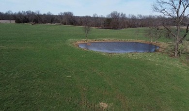 Turnkey Cattle Operation - 171 Acres of Prime Open - photo 34