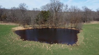 Turnkey Cattle Operation - 171 Acres of Prime Open - photo 36